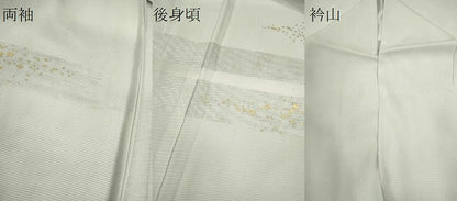平和屋着物＊夏物　訪問着　絽　刺繍　枝花文　金銀彩　正絹　逸品　CABK6773ze