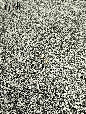 平和屋着物＊夏物　訪問着　駒刺繍　絽縮緬　紫陽花　たたき染め　銀彩　正絹　逸品　CABK6775ze