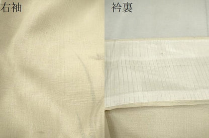 平和屋着物＊夏物　訪問着　紗紬　手描き　流水鴛鴦燕子花　正絹　逸品　CABK6776ze
