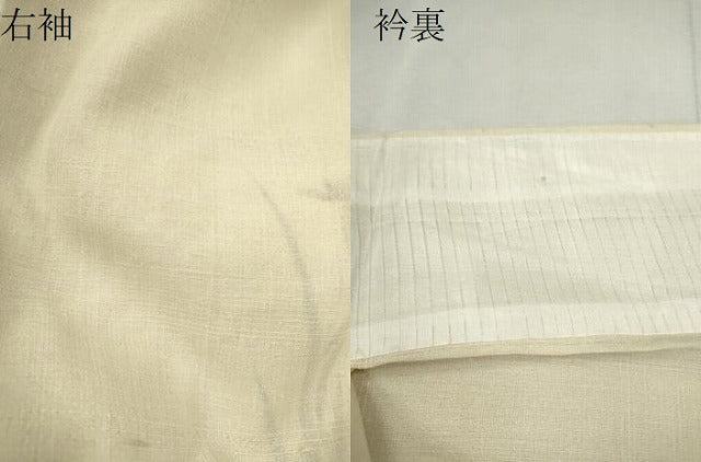 平和屋着物＊夏物　訪問着　紗紬　手描き　流水鴛鴦燕子花　正絹　逸品　CABK6776ze