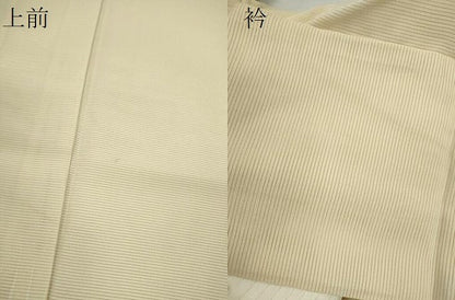 平和屋着物＊夏物　訪問着　ロング丈　絽　たんぽぽ　タンポポ　正絹　逸品　CABK6780ze