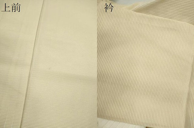 平和屋着物＊夏物　訪問着　ロング丈　絽　たんぽぽ　タンポポ　正絹　逸品　CABK6780ze