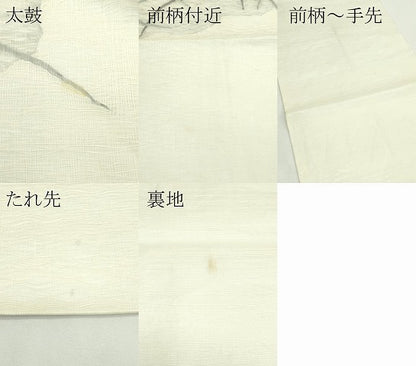 平和屋着物＊夏物　太鼓柄袋帯　すくい織　草花文　トンボ　正絹　逸品　CABK7062rv