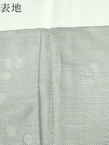 平和屋着物●訪問着　本場大島紬　150亀甲　刺繍　草花文　ロング丈　正絹　逸品　CABK7332yc