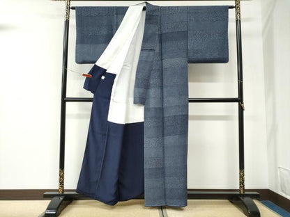 平和屋着物●藍造り国選定無形文化財　藍師・佐藤昭人　藍香房　江戸小紋　天然藍染　百柄　正絹　逸品　未使用　CABK7341yc