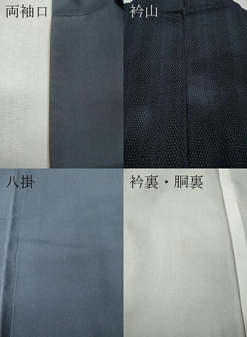 平和屋着物●本塩沢　110亀甲　間道　正絹　逸品　CABK8048ut