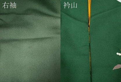 平和屋着物●訪問着　刺繍　向かい鳥南天文　暈し染め　金彩　ロング丈　正絹　逸品　CABK8118ut