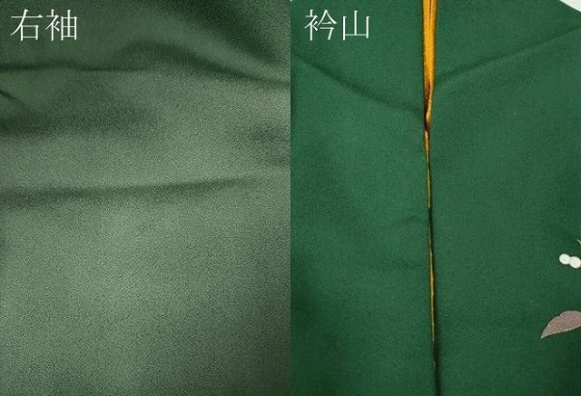 平和屋着物●訪問着　刺繍　向かい鳥南天文　暈し染め　金彩　ロング丈　正絹　逸品　CABK8118ut