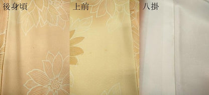 平和屋着物●上質な小紋　枝花文　暈し染め　正絹　逸品　CABK8157ut