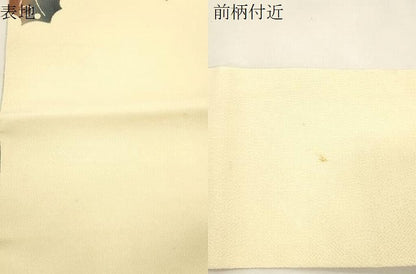平和屋着物▼九寸名古屋帯　型染　舞葉文　鬼しぼ縮緬　正絹　逸品　CABK8763dy