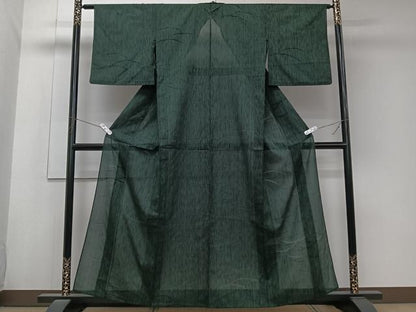 平和屋着物＊夏物　小紋　縦絽　舞芝紋紗　黒地　正絹　逸品　CABK8807xi