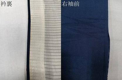 平和屋着物＊夏物　色無地　縦絽　抽象紋紗　紺青色　正絹　逸品　未使用　CABK8808xi