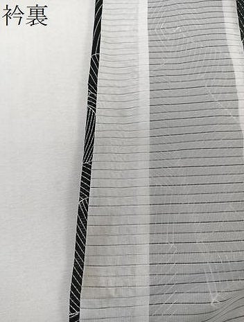 平和屋着物＊夏物　小紋　絽　葉尽くし　黒地　洗える着物　CABK8829xi