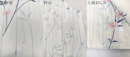 平和屋着物＊夏物　小紋　絽　草花文　洗える着物　CABK8865xi