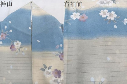 平和屋着物＊夏物　小紋　絽縮緬　枝草花文　洗える着物　CABK8898xi