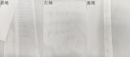 平和屋着物＊夏物　長襦袢　絽　白色　洗える着物　CABK8903xi