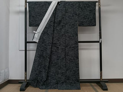 平和屋着物＊夏物　紬　紗　風景文　黒地　正絹　逸品　CABK8916xi