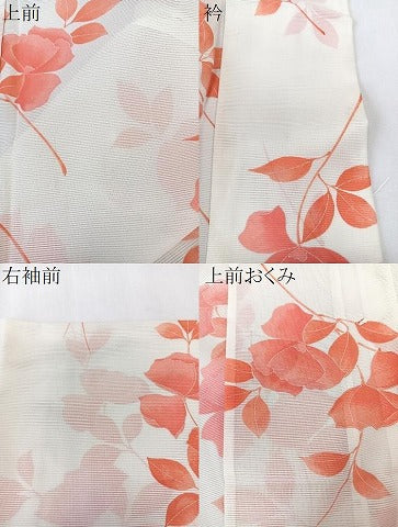 平和屋着物＊夏物　小紋　絽　枝草花文　ロング丈　洗える着物　CABK8955xi