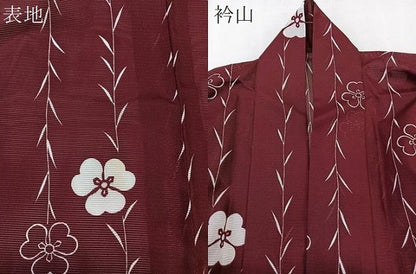 平和屋着物＊夏物　小紋　絽　間道草花文　洗える着物　CABK8965xi