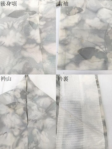 平和屋着物＊夏物　小紋　絽　舞蝶文　正絹　逸品　CABK8979xi