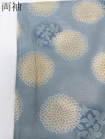 平和屋着物＊夏物　小紋　絽　草菊文　洗える着物　CABK8985xi