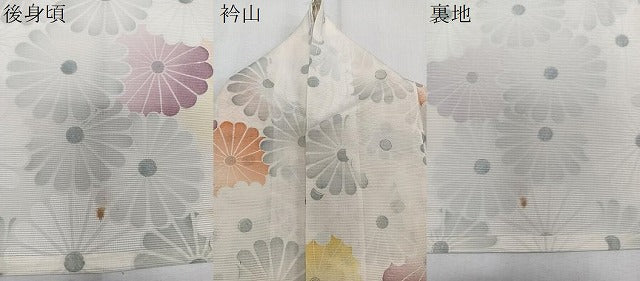 平和屋着物＊夏物　小紋　絽　菊尽くし　正絹　逸品　CABK8997xi