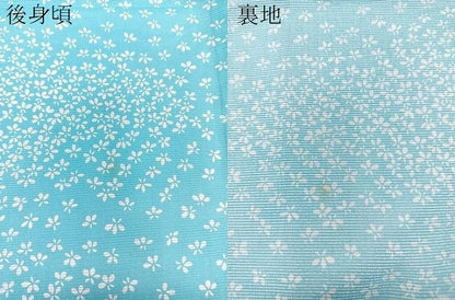 平和屋着物＊夏物　小紋　絽　小花尽くし　洗える着物　CABK9031xi