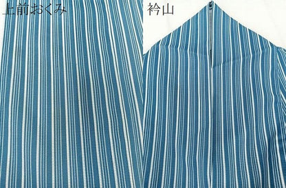 平和屋着物＊夏物　小紋　絽　縞　洗える着物　CABK9037xi