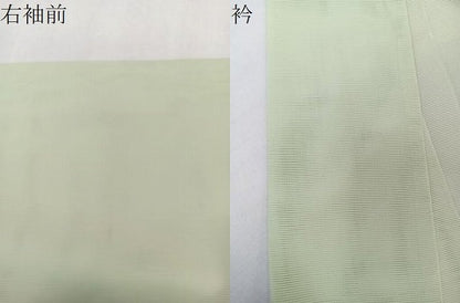平和屋着物＊夏物　訪問着　絽　手描き　蔦の花文　洗える着物　CABK9046xi