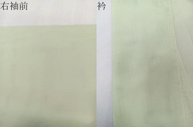 平和屋着物＊夏物　訪問着　絽　手描き　蔦の花文　洗える着物　CABK9046xi
