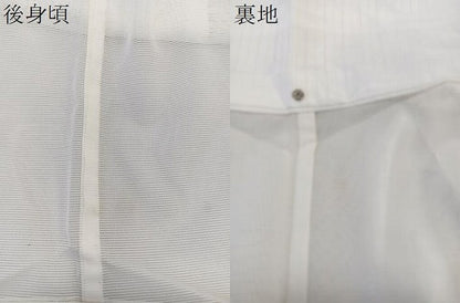 平和屋着物＊夏物　訪問着　絽　飛鳥文　銀彩　洗える着物　未使用　CABK9050xi