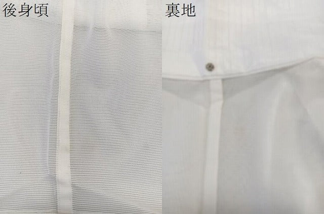 平和屋着物＊夏物　訪問着　絽　飛鳥文　銀彩　洗える着物　未使用　CABK9050xi
