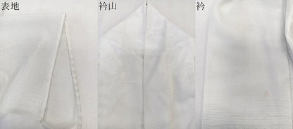 平和屋着物＊夏物　訪問着　絽　樹林文　洗える着物　CABK9051xi
