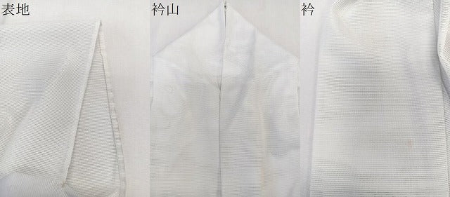 平和屋着物＊夏物　訪問着　絽　樹林文　洗える着物　CABK9051xi