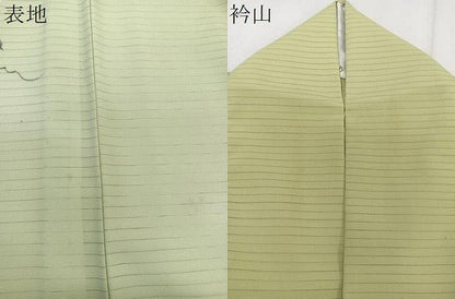 平和屋着物＊夏物　訪問着　絽縮緬　手描き　花唐草文　暈し染め　洗える着物　CABK9054xi