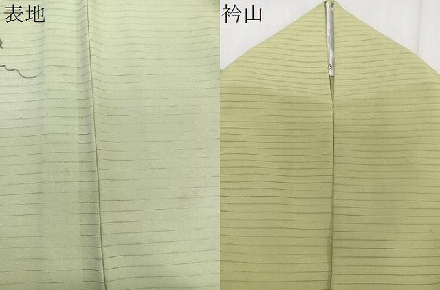 平和屋着物＊夏物　訪問着　絽縮緬　手描き　花唐草文　暈し染め　洗える着物　CABK9054xi