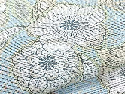 平和屋着物＊夏物　訪問着　絽　辻が花　金彩　洗える着物　CABK9055xi