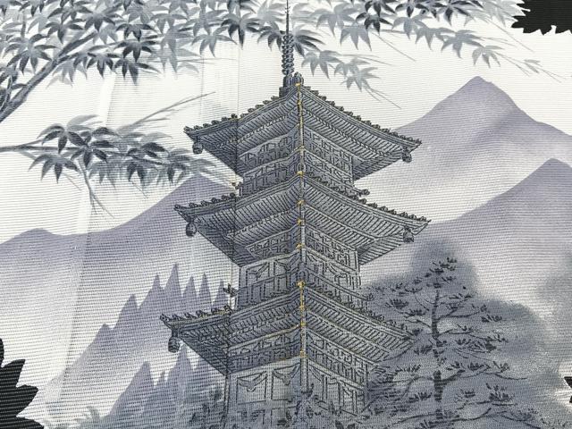 平和屋着物＊夏物　訪問着　絽　風景文　黒地　金彩　洗える着物　CABK9059xi
