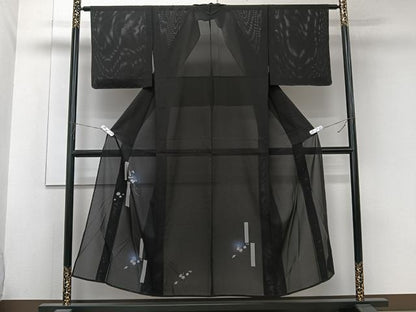 平和屋着物＊夏物　訪問着　絽　瓢箪蔦の葉文　蛍暈し　黒地　正絹　逸品　未使用　CABK9061xi