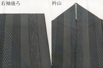平和屋着物＊夏物　江戸小紋　絽　間道　正絹　逸品　CABK9062xi