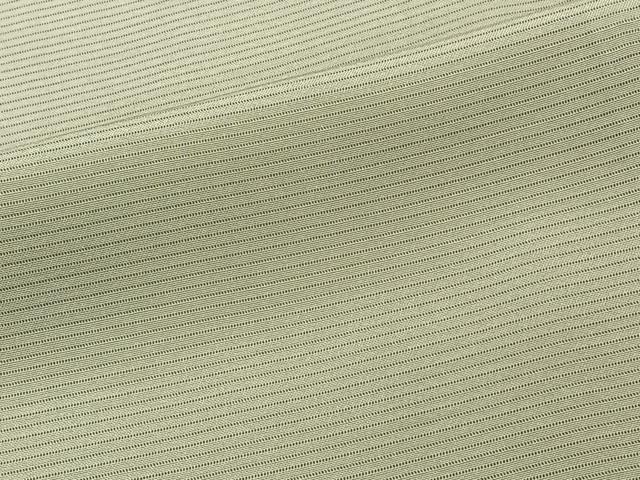 平和屋着物＊夏物　色無地　絽　山葵色　正絹　逸品　CABK9072xi