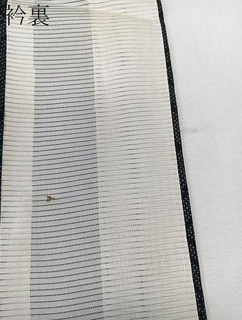 平和屋着物＊夏物　本場大島紬　夏大島　魚文様　黒地　正絹　逸品　CABK9079xi