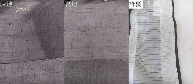 平和屋着物＊夏物　絹芭蕉　トンボ　正絹　逸品　CABK9086xi