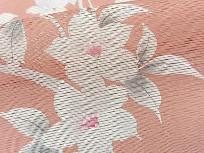 平和屋着物＊夏物　訪問着　絽　枝草花文　洗える着物　CABK9162xi