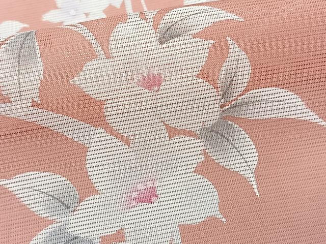 平和屋着物＊夏物　訪問着　絽　枝草花文　洗える着物　CABK9162xi