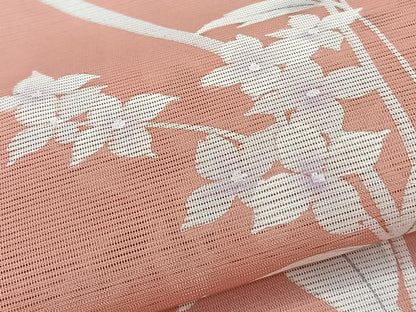 平和屋着物＊夏物　訪問着　絽　枝草花文　洗える着物　CABK9162xi