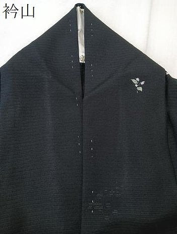 平和屋着物＊夏物　小紋　絽縮緬　草花文　黒地　正絹　逸品　CABK9171xi