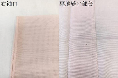 平和屋着物＊夏物　訪問着　絽　花蝶丸文　洗える着物　CABK9182xi
