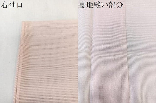 平和屋着物＊夏物　訪問着　絽　花蝶丸文　洗える着物　CABK9182xi