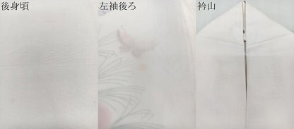 平和屋着物＊夏物　訪問着　絽　舞蝶文　金彩　洗える着物　CABK9184xi